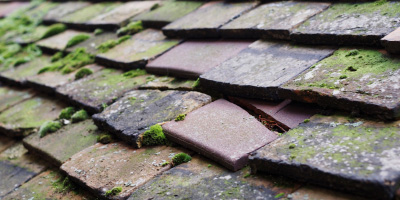 Smoky Row roof repair costs